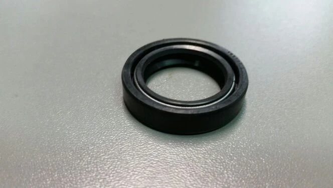 SIMMERING 22X32X7 DUO